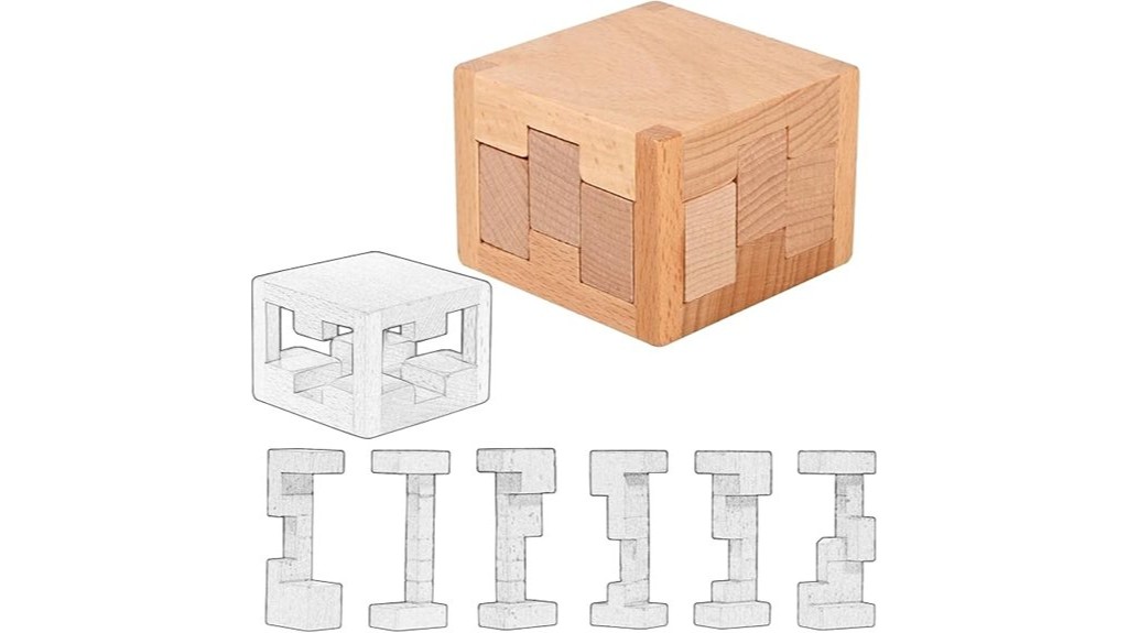 brain teaser puzzle toy